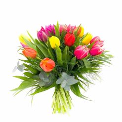 Tulipanes variados