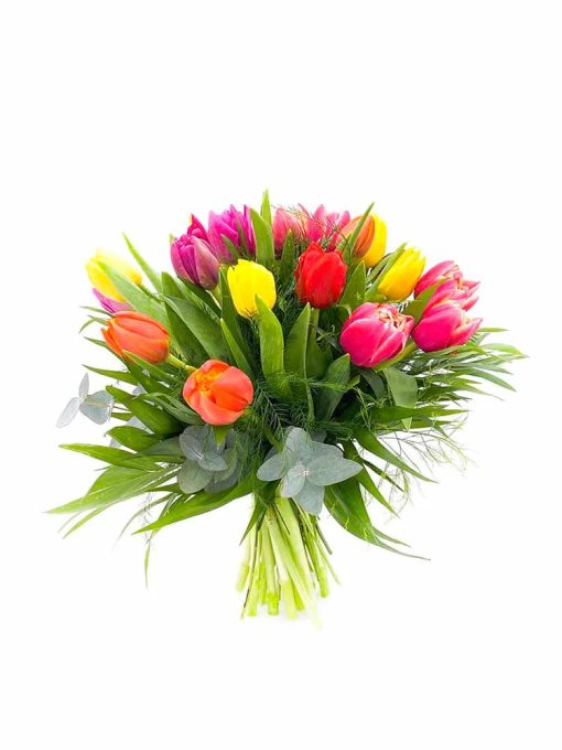 Tulipanes variados
