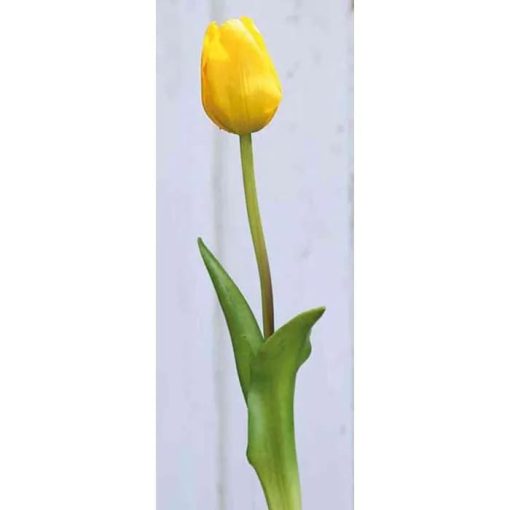 Tulipanes variados - Imagen 2