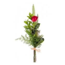 Rosa roja individual